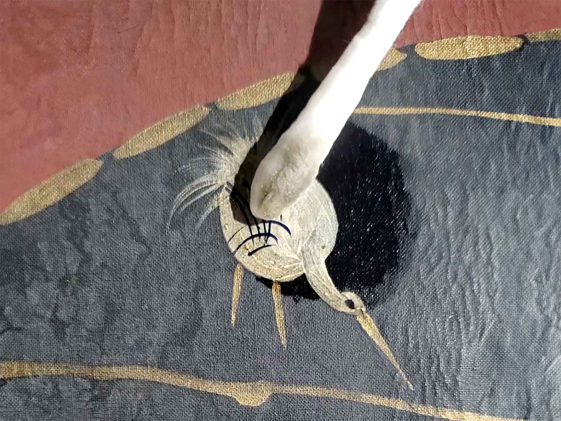 Canvas